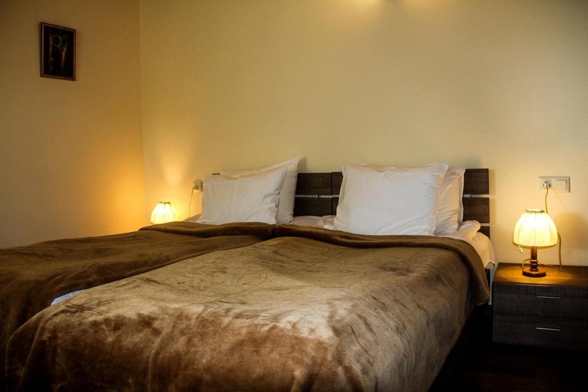 Guesthouse Shamo Gudauri Zewnętrze zdjęcie
